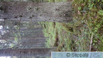 2017-06-07 06.31.03.jpg