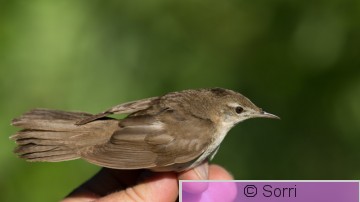 D8E_8349.jpg