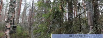 kuukkeliruokinta_Teerilampi171113_2000.jpg