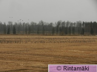 DSCN7223.JPG