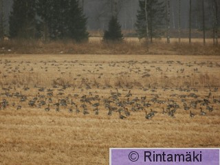 DSCN7228.JPG