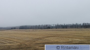 IMG_20170402_130028.jpg