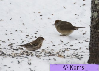 DSC_6002.jpg