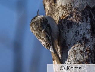 DSC_8225.jpg