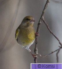 DSC_8793.jpg