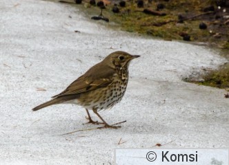 DSC_3926.jpg