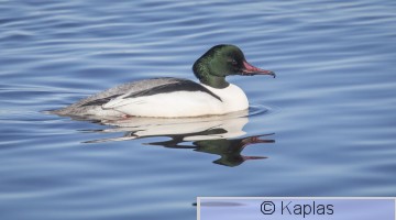 Mermer_035_18.jpg