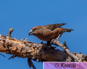DSC_3148.jpg