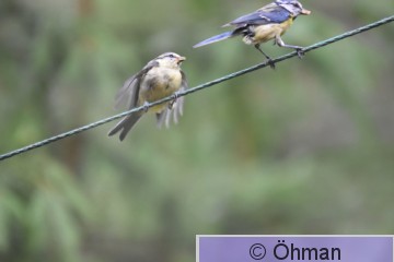 DSC_4388.JPG