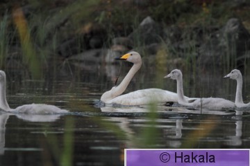 IMG_5470.jpg