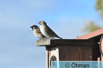 DSC_7601.JPG