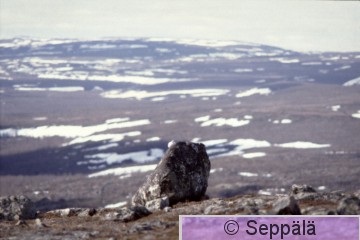kiiruna.jpg