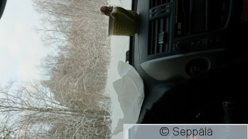 Eväät.JPG