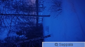 Talvihämärä.JPG