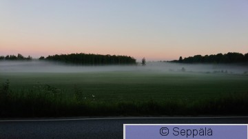 Sumu3.JPG