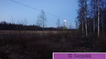 Kevätaamu.JPG